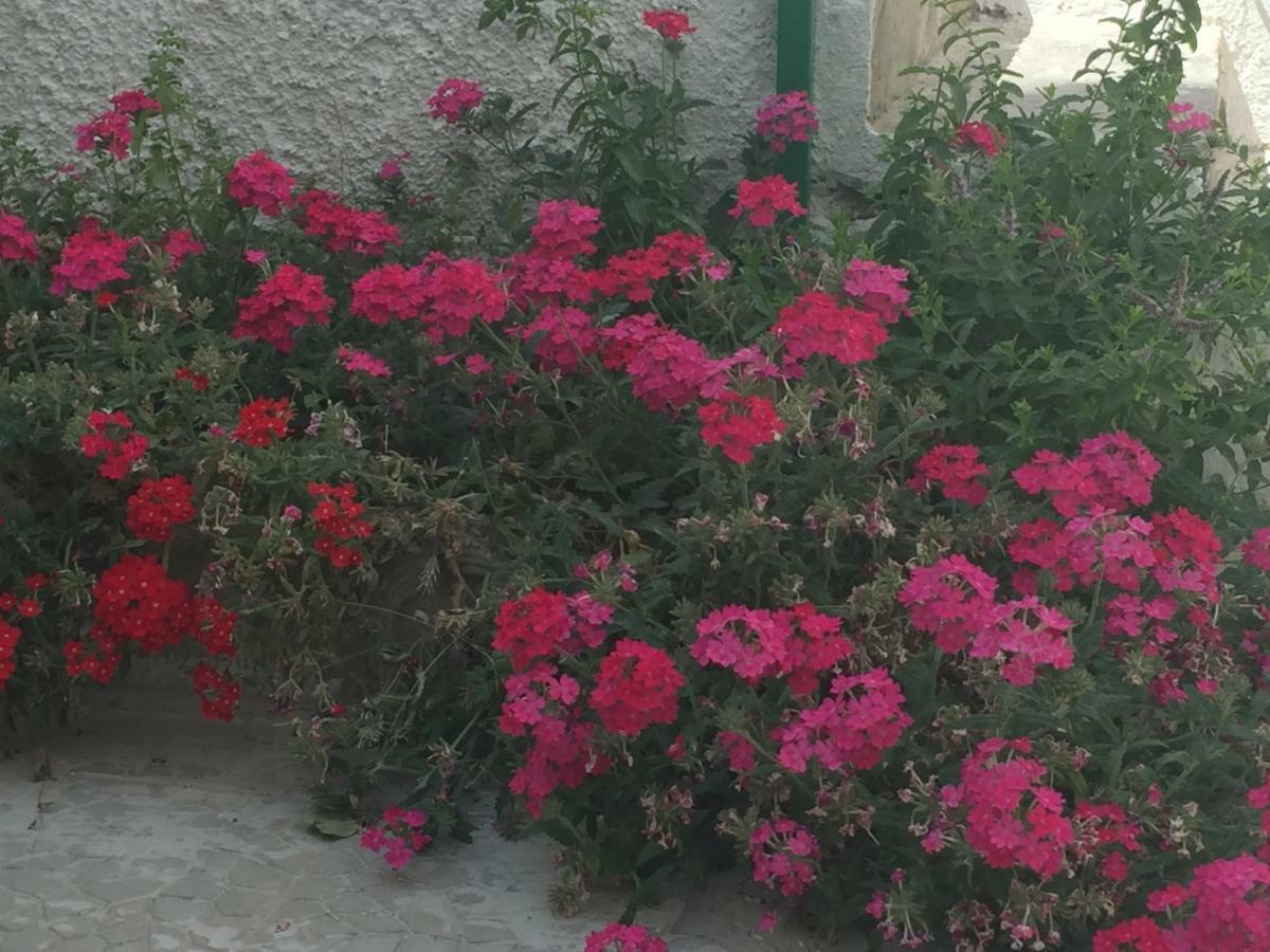 דירות סן פוקה Casa Sul Mare - Wifi Free - Parcheggio Privato מראה חיצוני תמונה